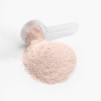 HYDRATE+ | Peach Mango Hydration Powder