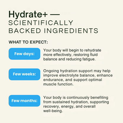 HYDRATE+ | Lychee Hydration Powder